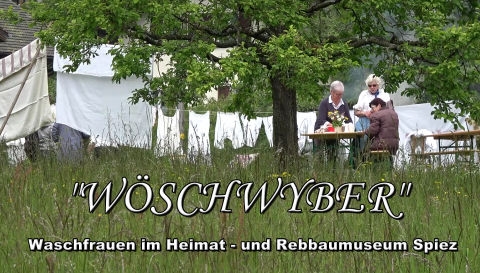 Wöschwyber